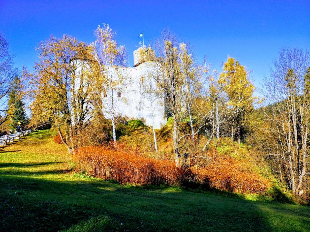 W Borowikowym Zaciszu Holiday home *